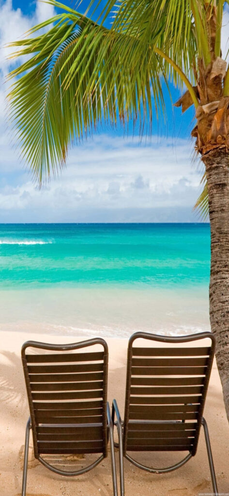Tranquil Beach with Empty Chairs & Palm - Serene Tropical Escape Wallpaper