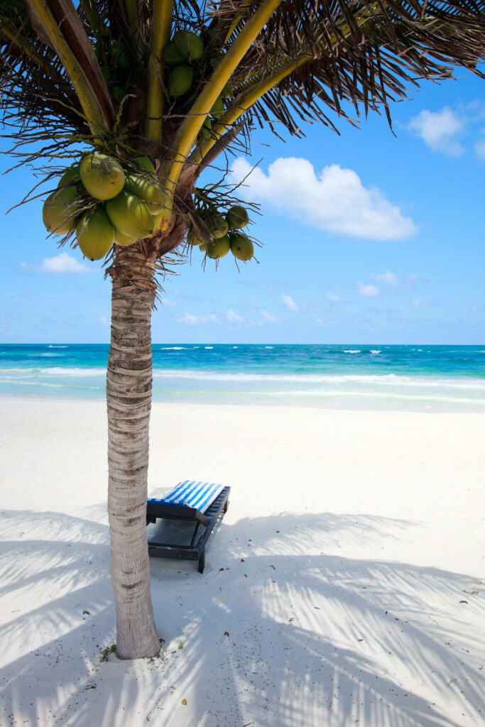 Serene Beach Scene: Coconut Tree & Chair - 4K iPhone Wallpaper