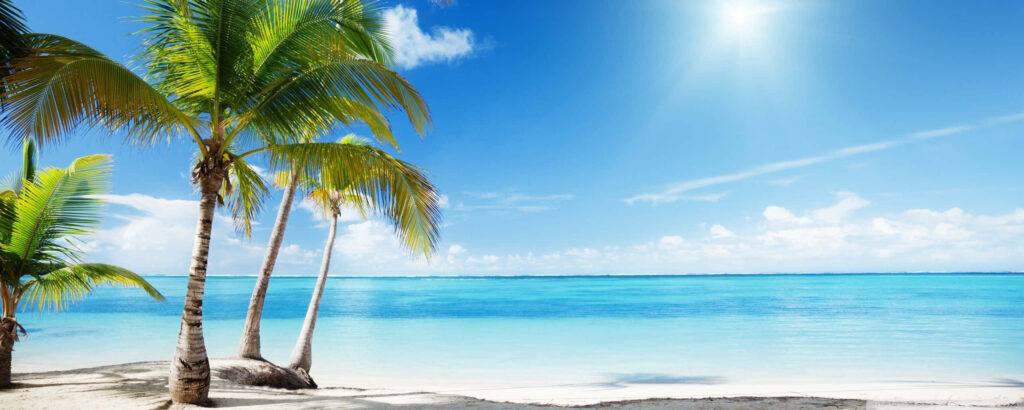 Serene Beach Dual Monitor Wallpaper: Palm Trees & Ocean Paradise