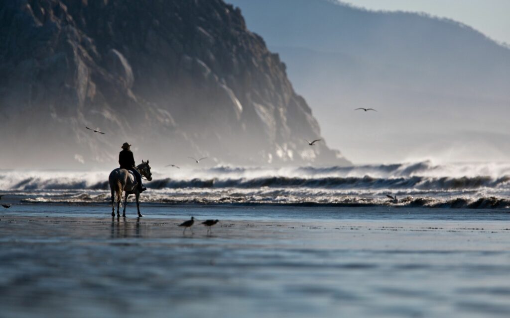 Lone horseback rider on serene beach with waves seabirds cliffs and misty mountains background Wallpaper