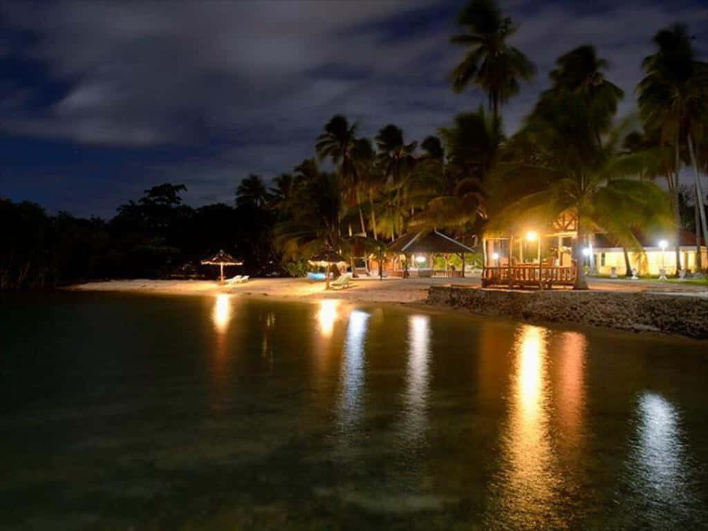 Serene Beach Night Scene with Cozy Cottage & Palm Trees Wallpaper