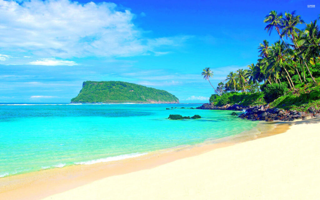 Serene Beach Paradise Wallpaper with Turquoise Waters & Palm Trees