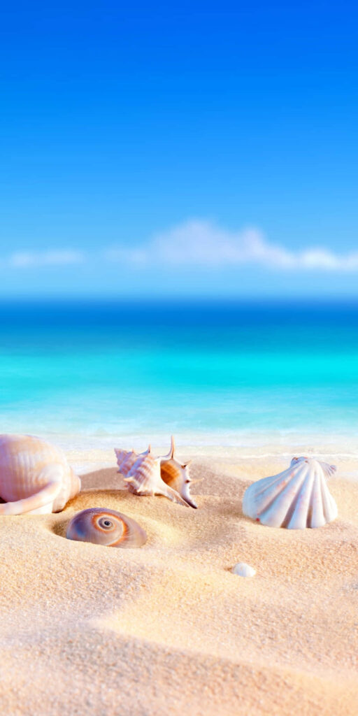 Serene Beach Scene Wallpaper: Golden Sand & Turquoise Sea