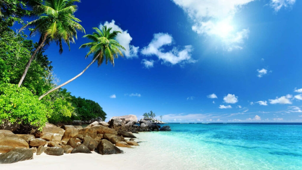 Serene Beach Scene: Turquoise Waters and Lush Greenery Wallpaper