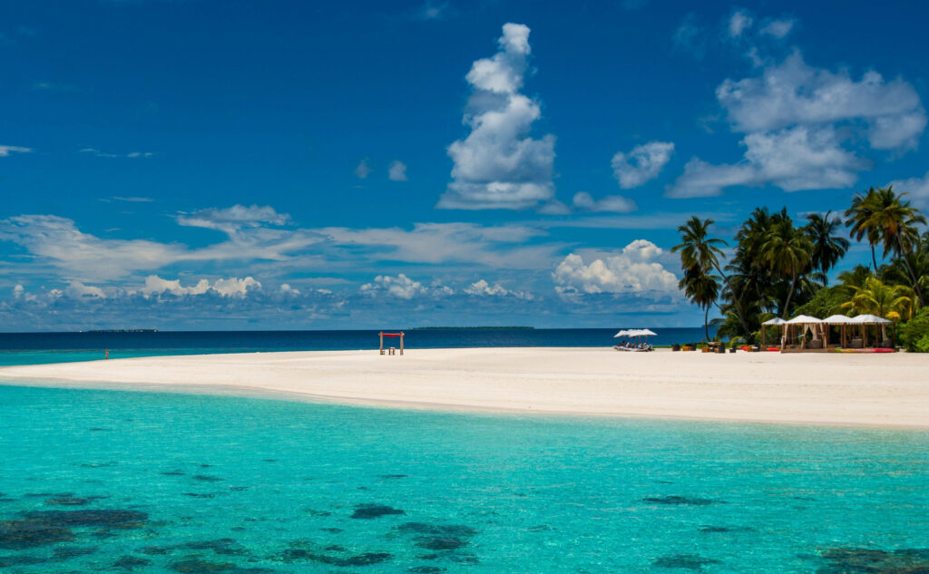 Tropical Bliss: Serene Beach Desktop Wallpaper with Palm Trees
