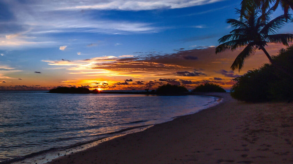 Tranquil Sunset Beach Wallpaper: Swaying Palm Trees & Vibrant Sky