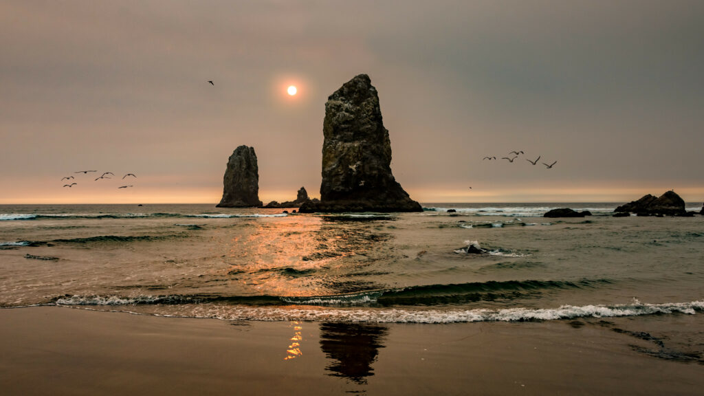 Serene beach sunset with golden light waves wet sand and jagged rocks natural seascape wallpaper
