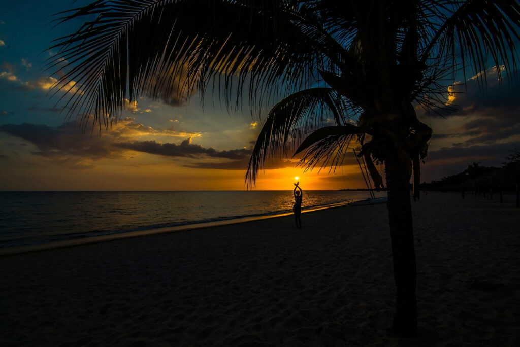 Serene Sunset Beach Wallpaper with Silhouetted Palm Tree