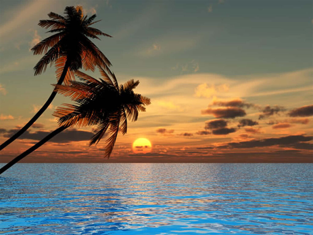 Serene Beach Sunset Wallpaper: Palm Trees & Vibrant Sky Reflection