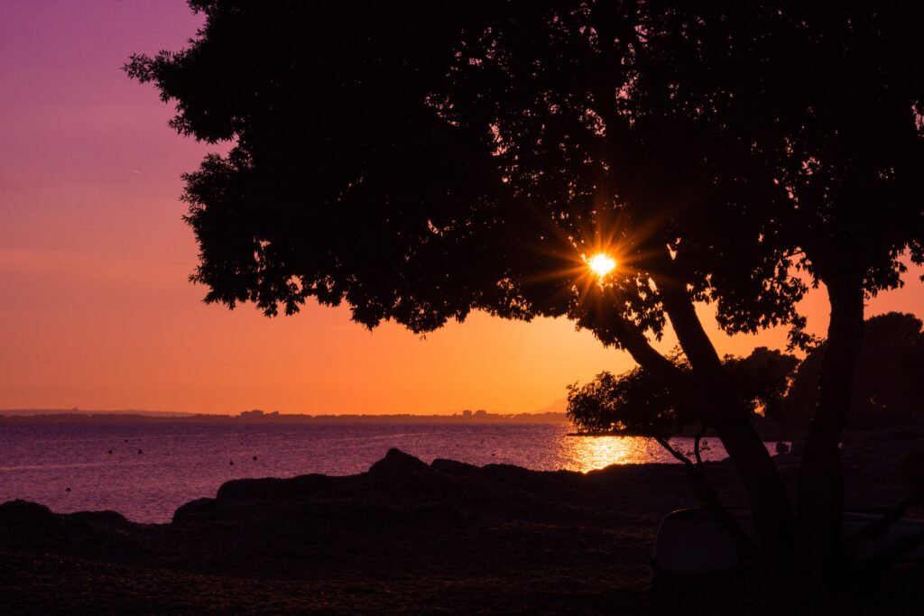 Serene beach sunset wallpaper with silhouetted tree sun rays reflecting on calm purple water