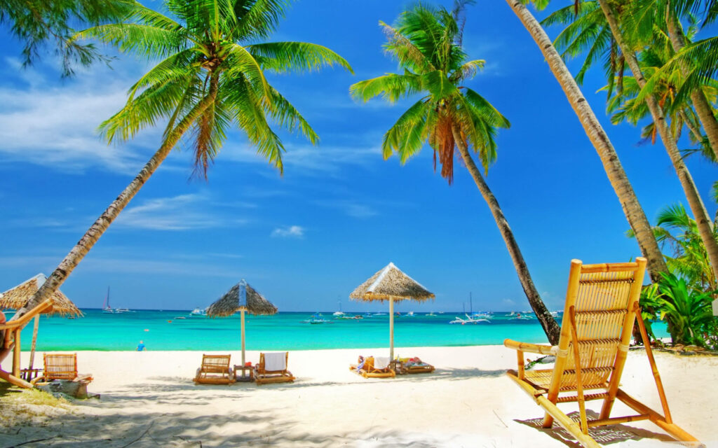 Serene Beach Wallpaper: Chairs & Umbrellas Under Palm Trees