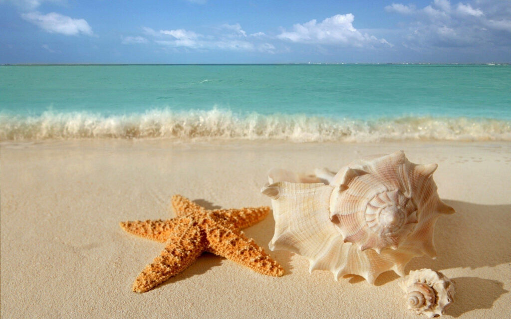 Serene Beach Wallpaper: Clear Sky, Waves, Starfish & Seashells