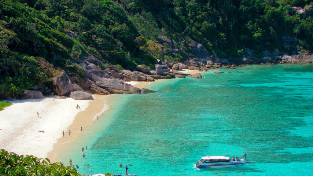 Tranquil Beach: Relax with Crystal Clear Turquoise Waters & Lush Greens Wallpaper