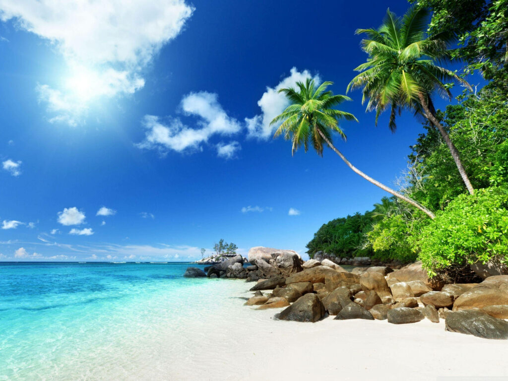 Serene Beach Scene Wallpaper: Crystal Blue Waters & Lush Palms