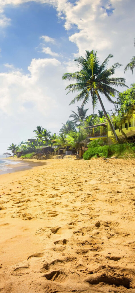Serene Beach Wallpaper: Golden Sands & Lush Palms Under Cloudy Sky