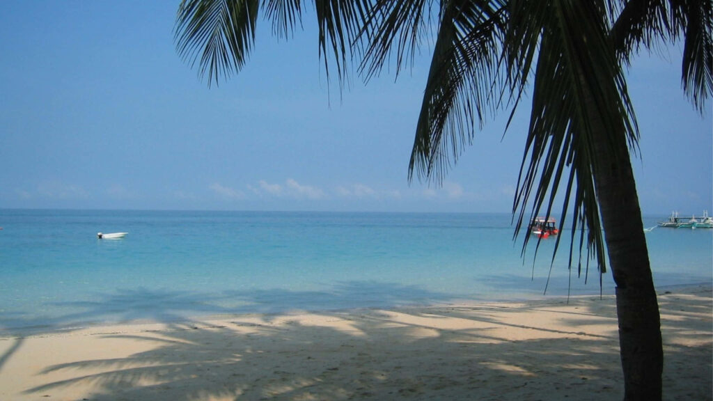 Tropical Escape: Serene Beach Wallpaper with Golden Sand & Clear Waters