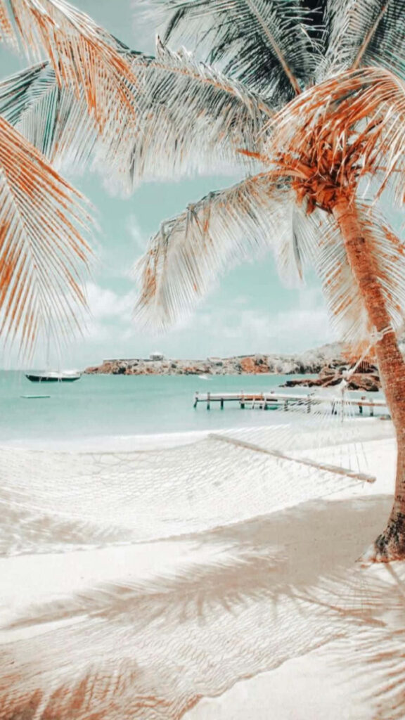Serene Beach Hammock Wallpaper with Palm Trees & Turquoise Waters
