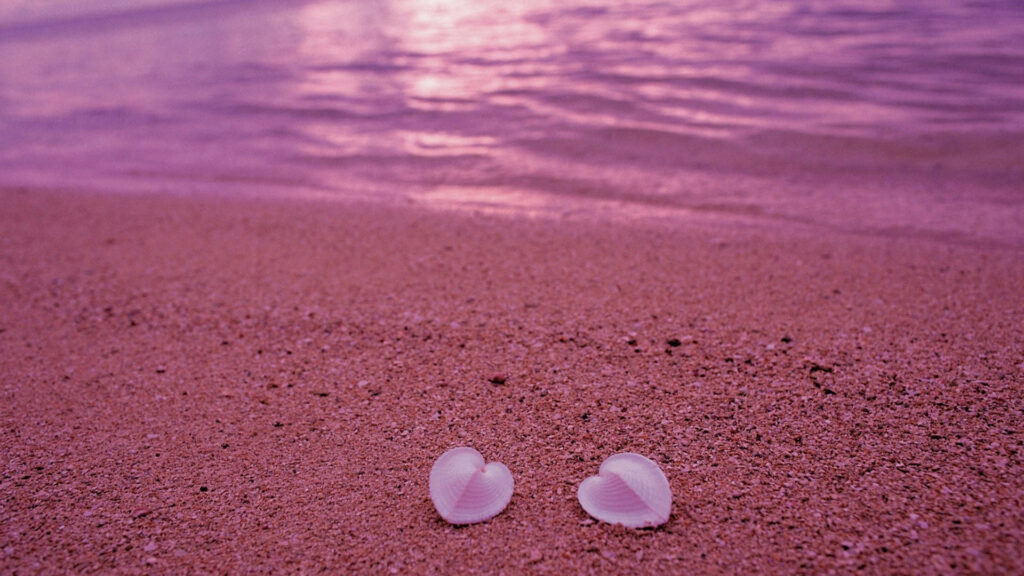 Heart-Shaped Shells on Serene Beach: Pink & Purple Sunset Wallpaper