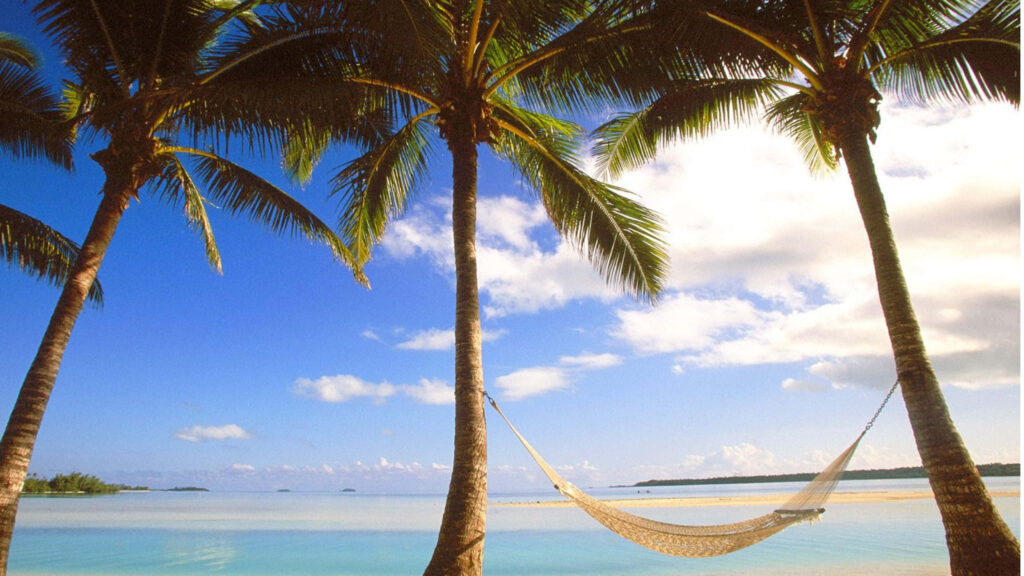 Serene Beach with Palm Trees and Turquoise Waters – Relaxing Escape Wallpaper