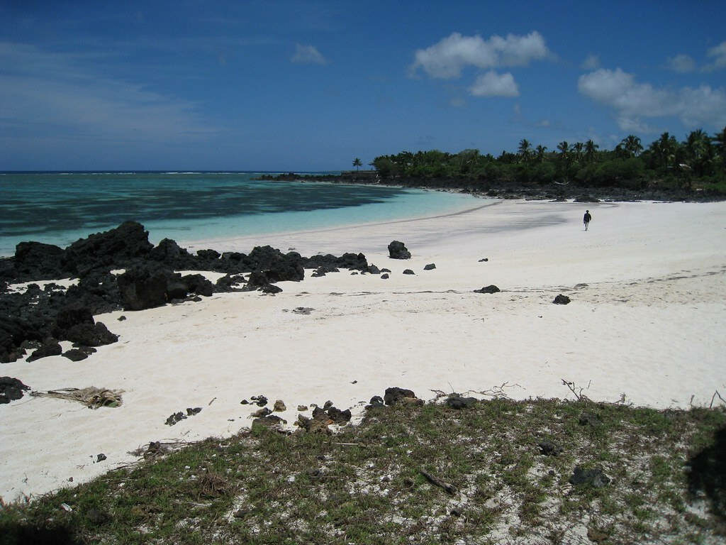 Tranquil Beach Wallpaper: White Sand, Turquoise Waters & Green Foliage