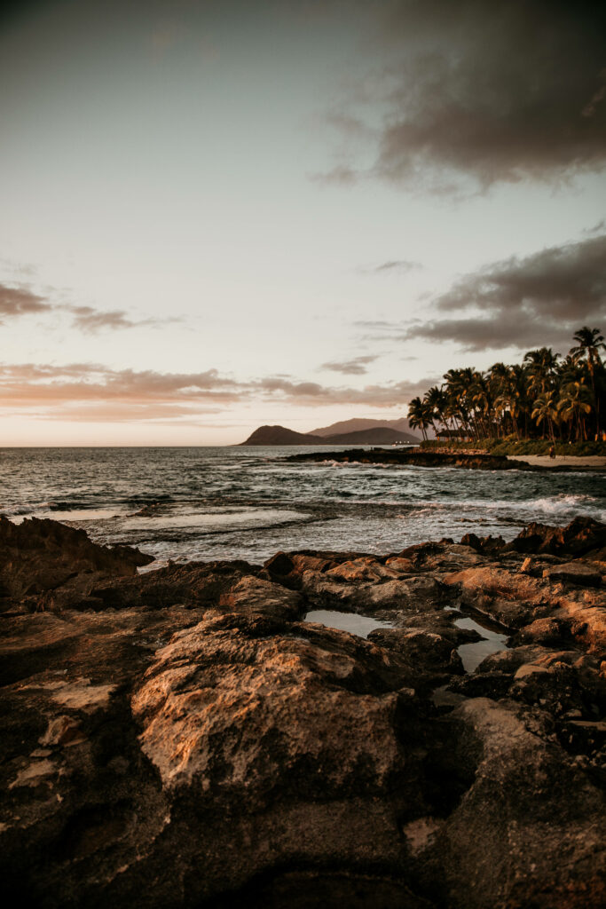 Serene Beach Landscape Wallpaper: Sunset, Palm Trees & Ocean Waves