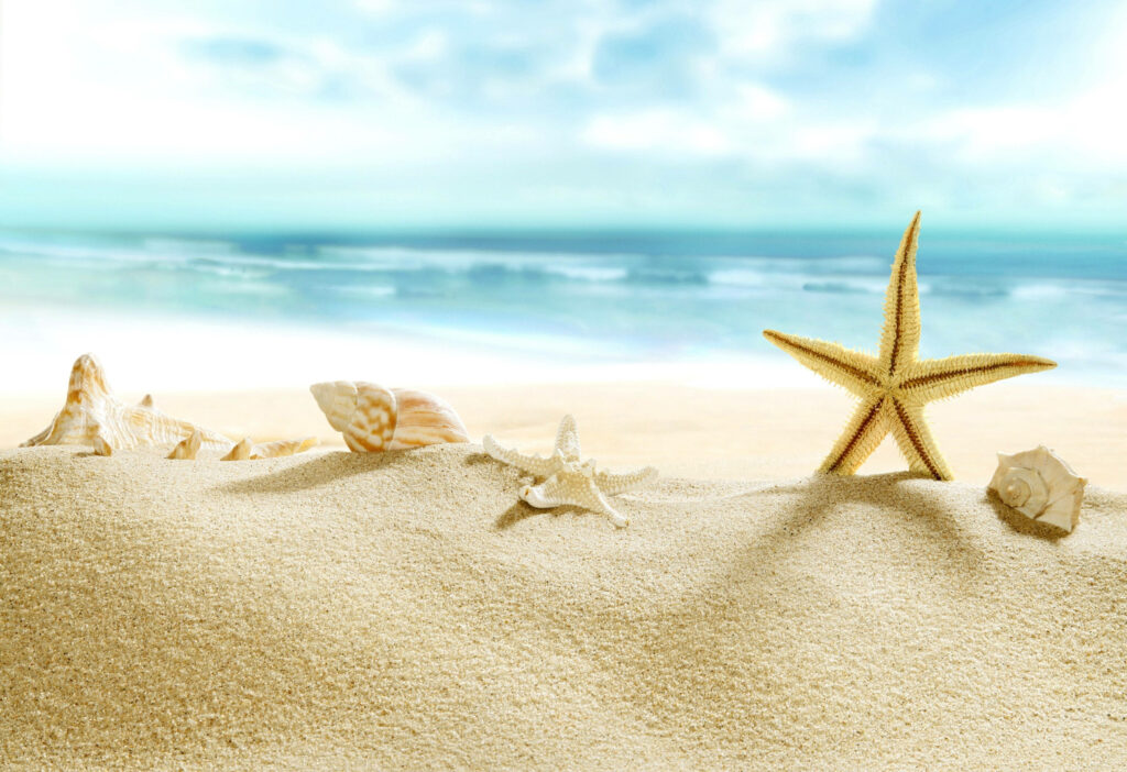 “Serene Beach Wallpaper: Soft Sand, Seashells & Gentle Waves Background”