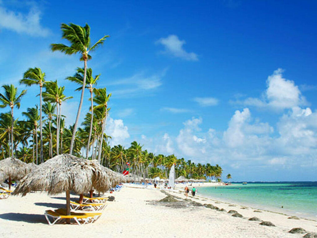 Serene Tropical Beach Wallpaper with Palm Trees and Turquoise Ocean