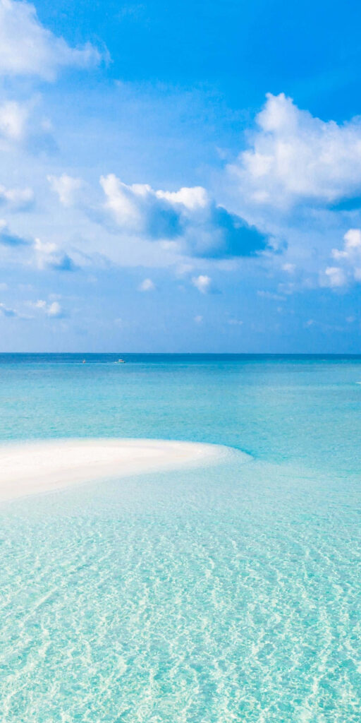 Serene Beach Wallpaper: Tranquil Turquoise Waters & Blue Sky