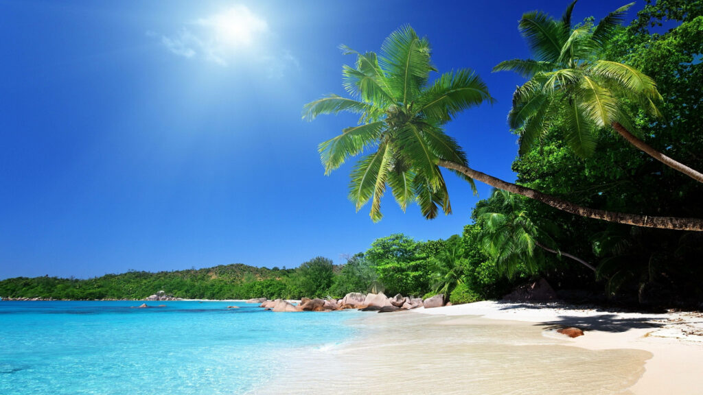 Serene Beach Wallpaper: Turquoise Waters & Palm Trees Paradise