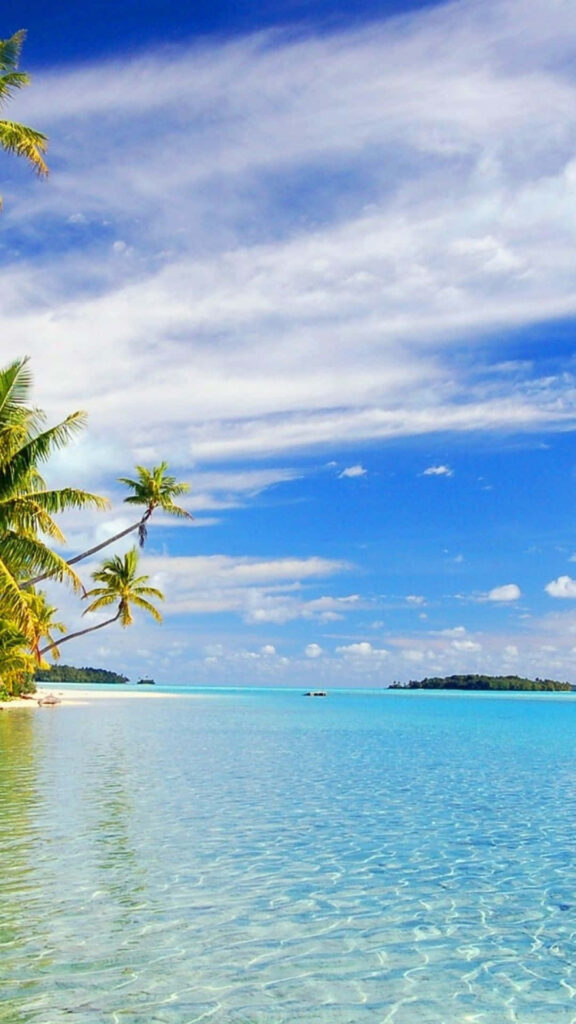 Tranquil Beach Wallpaper: Crystal Waters & Swaying Palm Trees