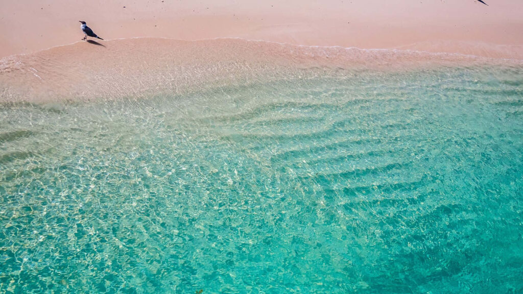 Serene Beach Wallpaper: Tranquil Turquoise Waters & Sandy Shore