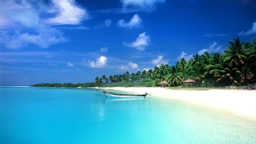 Tranquil Beach Wallpaper: Turquoise Waters & Palm Trees Background