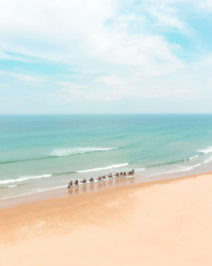 Tranquil Beach Wallpaper: Horses, Waves & Turquoise Oasis