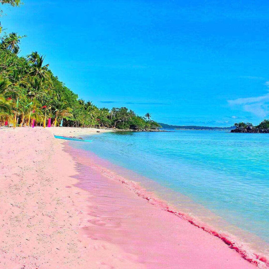 Pink Sand Beach Wallpaper: Tropical Paradise with Turquoise Waters