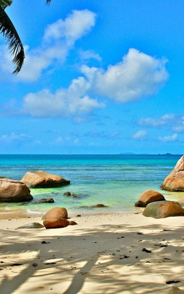 Serene Sandy Shore Beach Wallpaper: Immerse in Turquoise Paradise