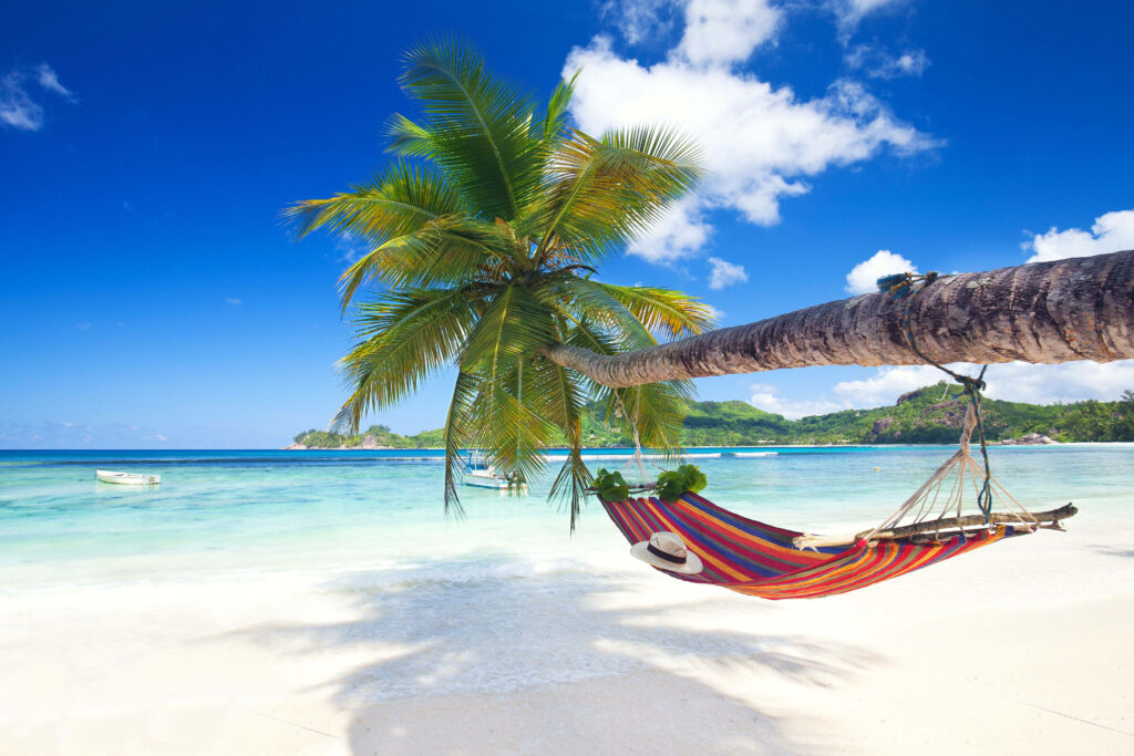 Serene Beach Wallpaper: Colorful Hammock & Turquoise Ocean Background