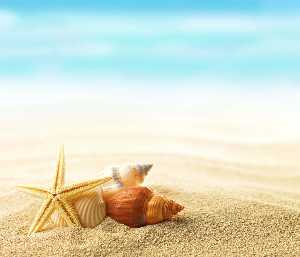 Serene beach scene with starfish seashells on golden sand and blurred blue ocean background Wallpaper