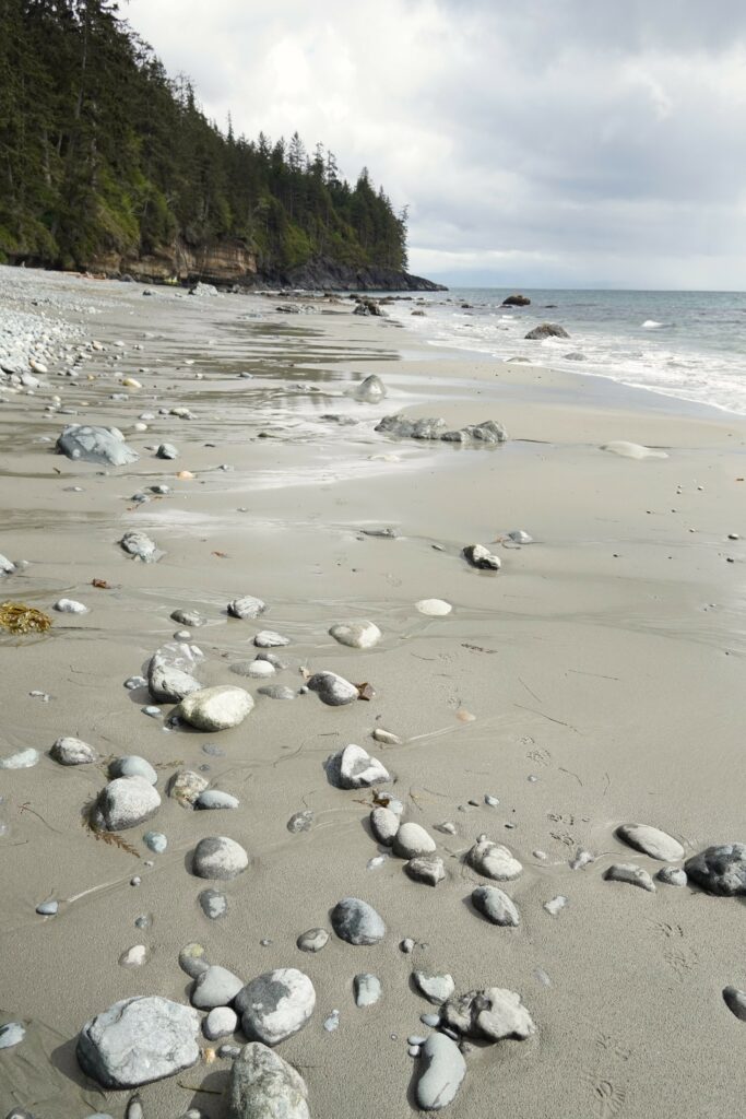 Serene beach wallpaper with smooth stones soft sand gentle waves rugged coastline pine trees