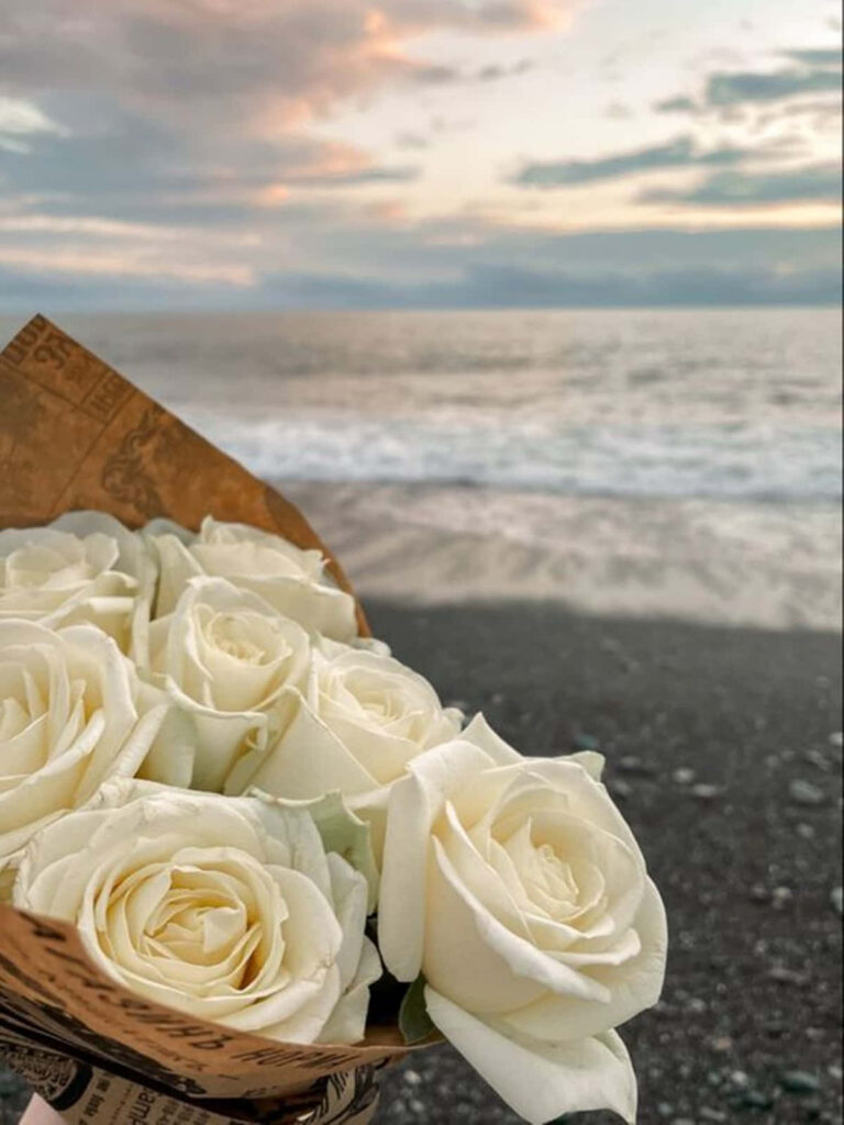 Elegant White Roses on Serene Beachscape at Sunset - Calming Aesthetic Wallpaper