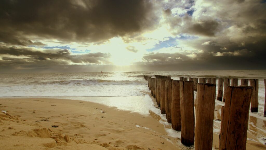 Serene beach with weathered logs sandy shore dramatic clouds golden sunlight turbulent sea wallpaper