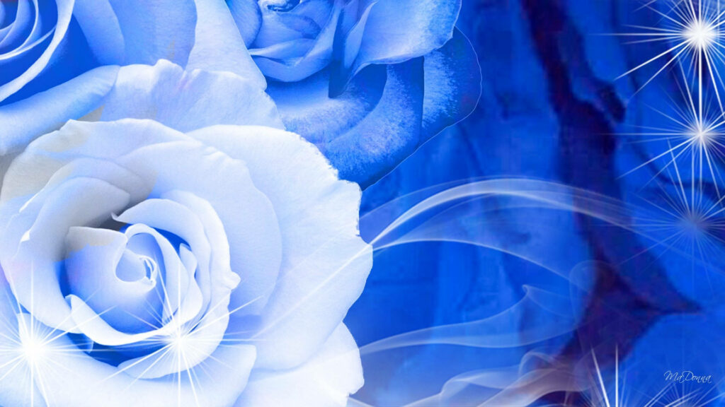 Blooming Bouquet: A Captivating Display of Blue and White Roses on a Serene Background Wallpaper