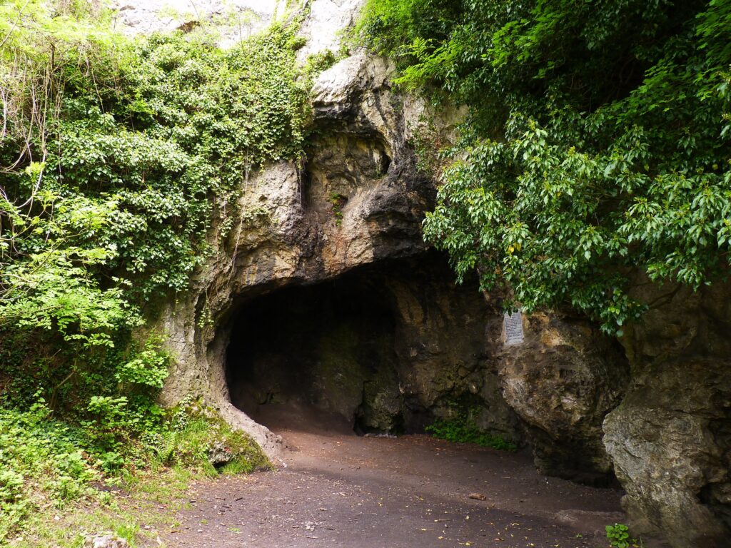 Natural grotto entrance in Belgian mountains surrounded by green foliage and rocky textures Wallpaper