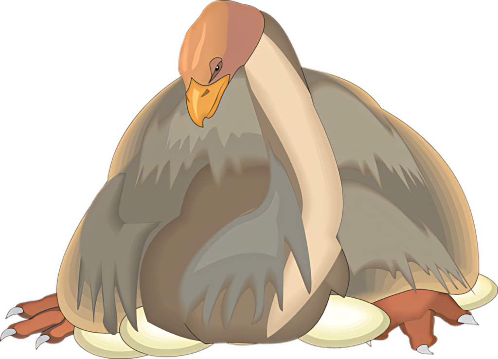 Serene Bird Incubating Eggs – Detailed Nature Wallpaper
