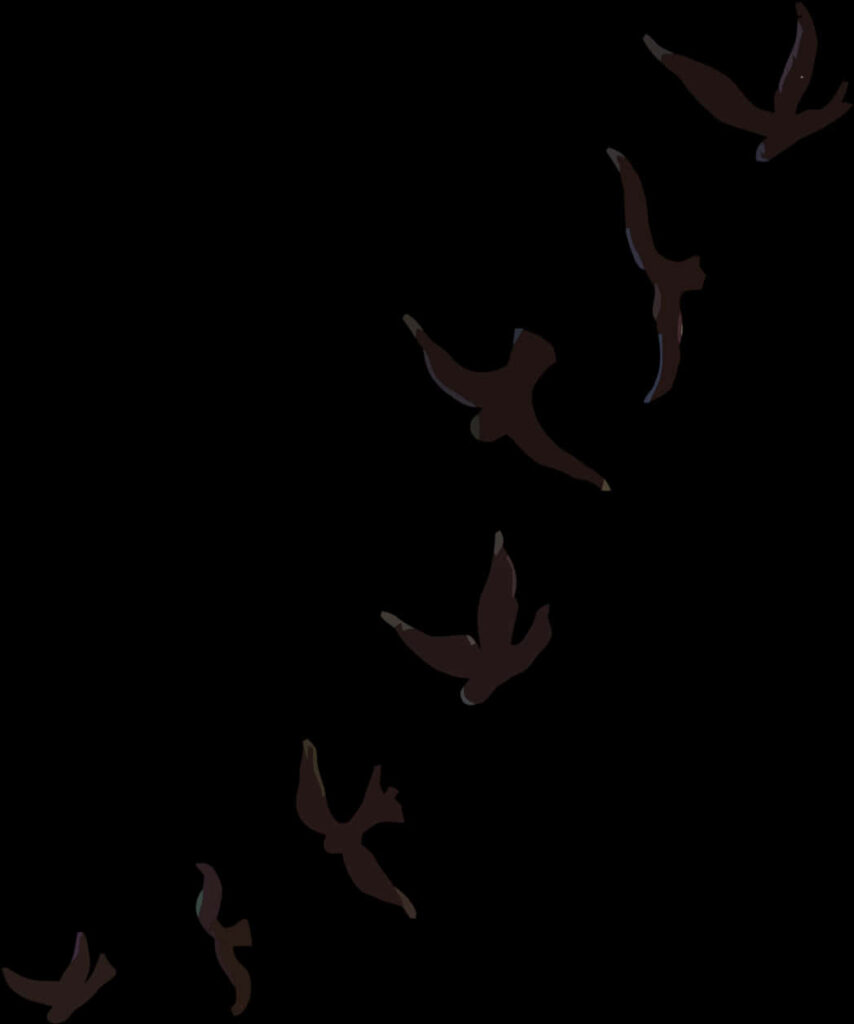 Silhouetted Birds in Flight: Elegant Dark Background Wallpaper