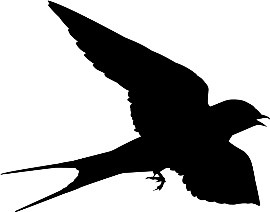 Serene Black Bird Silhouette Wallpaper on Transparent Background