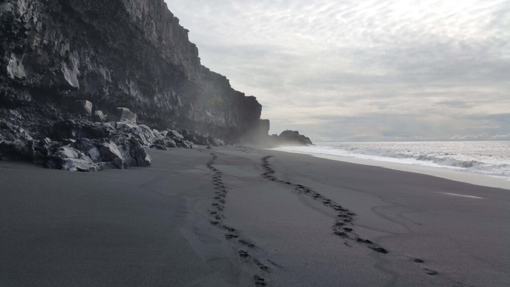 Serene Black Sand Beach with Rugged Cliffs and Gentle Waves Wallpaper