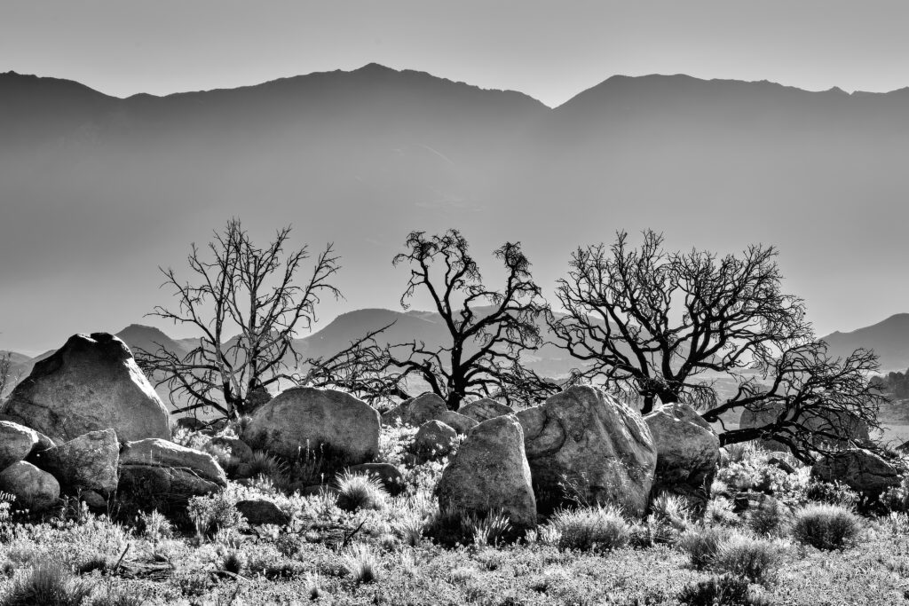 Tranquil Black and White Landscape Wallpaper: Rugged Rocks & Foggy Mountains