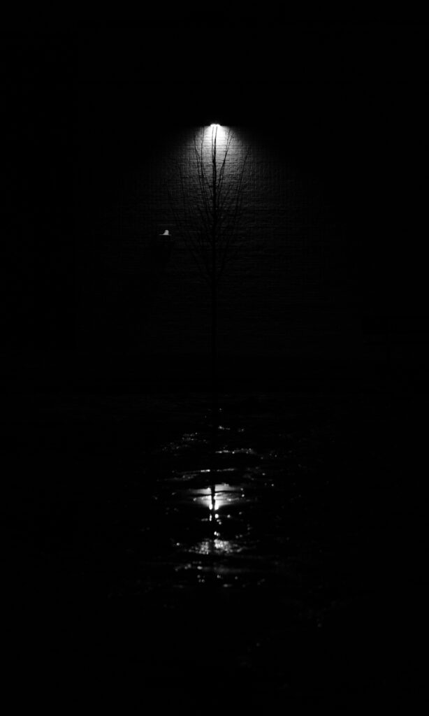 Serene Lantern Glow: Captivating Silhouette of a Lone Tree Wallpaper