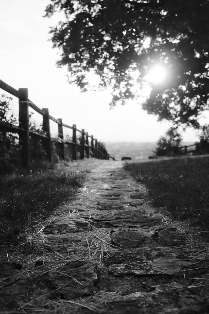 Serene Black and White Wallpaper: Rustic Path with Fenced Grassy Scene