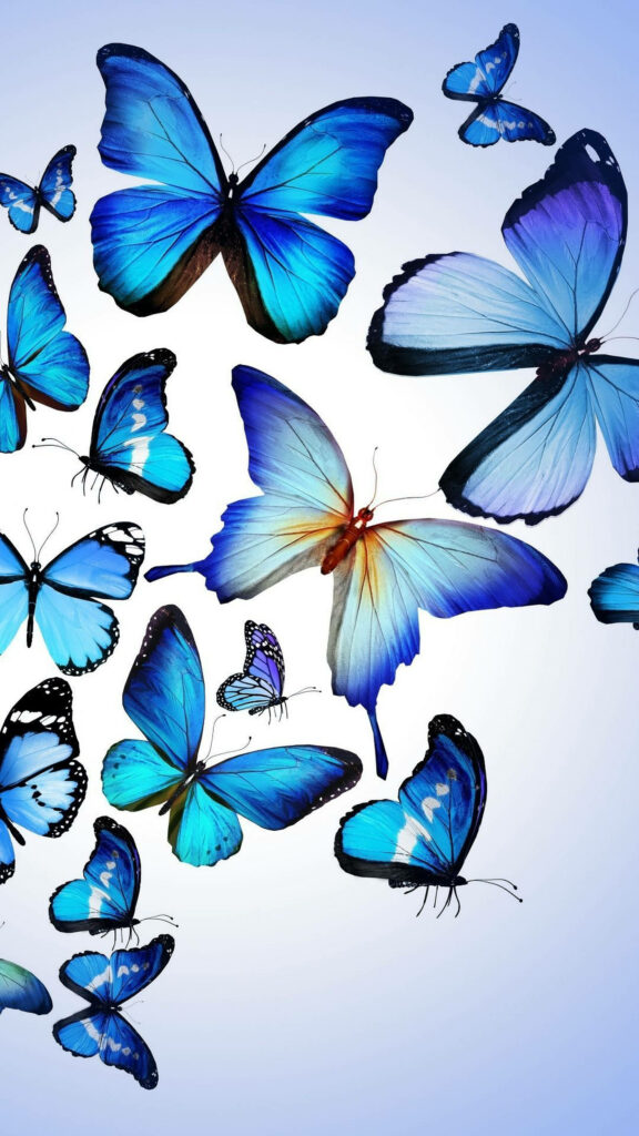 Vibrant Blue Butterfly Wallpaper: Serene Aesthetic Background